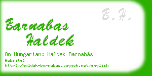 barnabas haldek business card